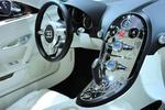 Bugatti-Veyron-Nocturne-foto-14.jpg