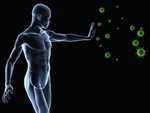 imuniteto sistema immune system