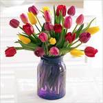 Tulpės – šiltų spalvų sezono gėlės