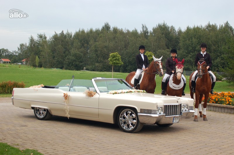 Cadillac Kabrioletas Nuoma