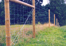 Hampton ,Tornado tvoros laukinių gyvūnų aptvarams, fence animal