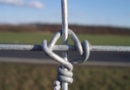 Hampton ,Tornado tvoros laukinių gyvūnų aptvarams, fence animal