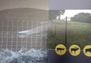 Hampton ,Tornado tvoros laukinių gyvūnų aptvarams, fence animal