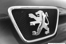 Peugeot 206+ Automobilio dalis