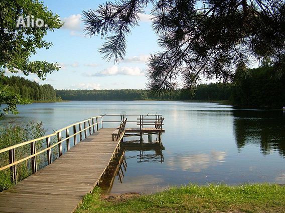 Pavėsinės. Malkinės. Verandos. Lieptai. Terasos.