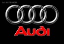Audi Q7 Automobilio dalis  Visureigis