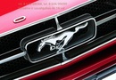 Ford Mustang Automobilio dalis