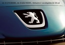 Peugeot 1007 Automobilio dalis