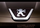 Peugeot 206+ Automobilio dalis