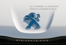 Peugeot 3008 Automobilio dalis