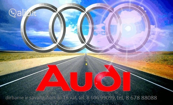 Audi dalys pigiau, autodalys ir Audi detales internetu katalogas