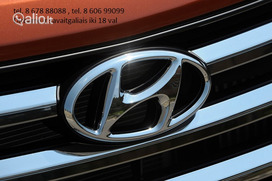 Hyundai Grandeur Automobilio dalis