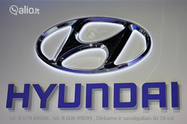 Hyundai Santamo Automobilio dalis