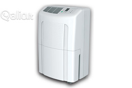 Dregmes surinkejas nuoma