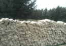 Fasado malksnos (skiedros)