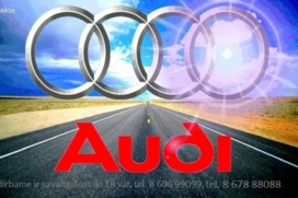 Autodalys, Audi A6 Automobilio dalis