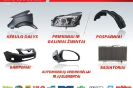 Lexus kėbulo dalys zibintai
