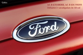 Autodalys, Ford B-MAX Automobilio dalis