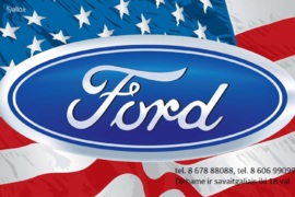 Dalys, Ford Excursion Automobilio dalis