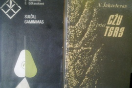 Sulčių gaminimas
