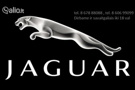 Dalys, Jaguar Visi modeliai Kitas Autodalys