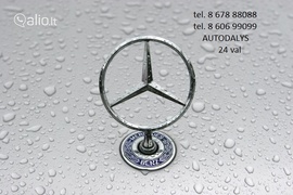 Dalys, Mercedes-Benz G 320 Visureigis Autodalys