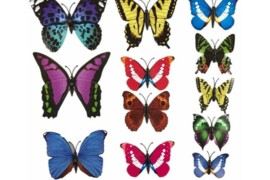 3D Sienos lipdukai-drugeliai, 12vnt.