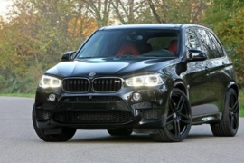 NAUJOS ORIGINALIOS IR NEORIGINALOS BMW X5  F15 2014- DALYS