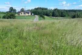 30 a sklypas Trakų r. sav., Bražuolė Garazai.