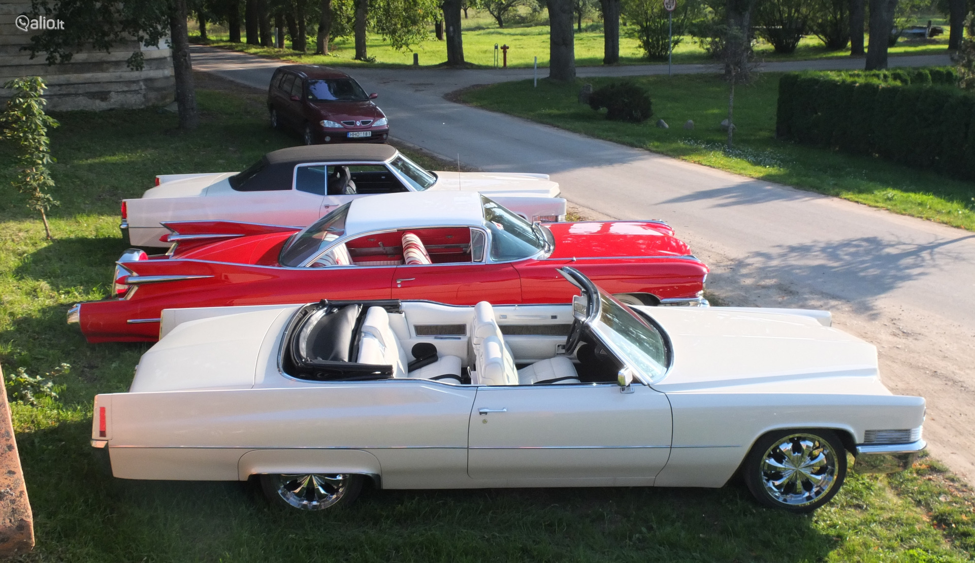 Cadillac Kabrioletas Nuoma