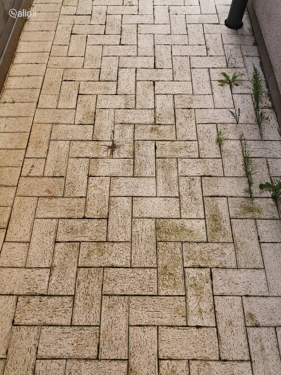 Trinkelių plovimas impregnavimas atnaujinimas valymas