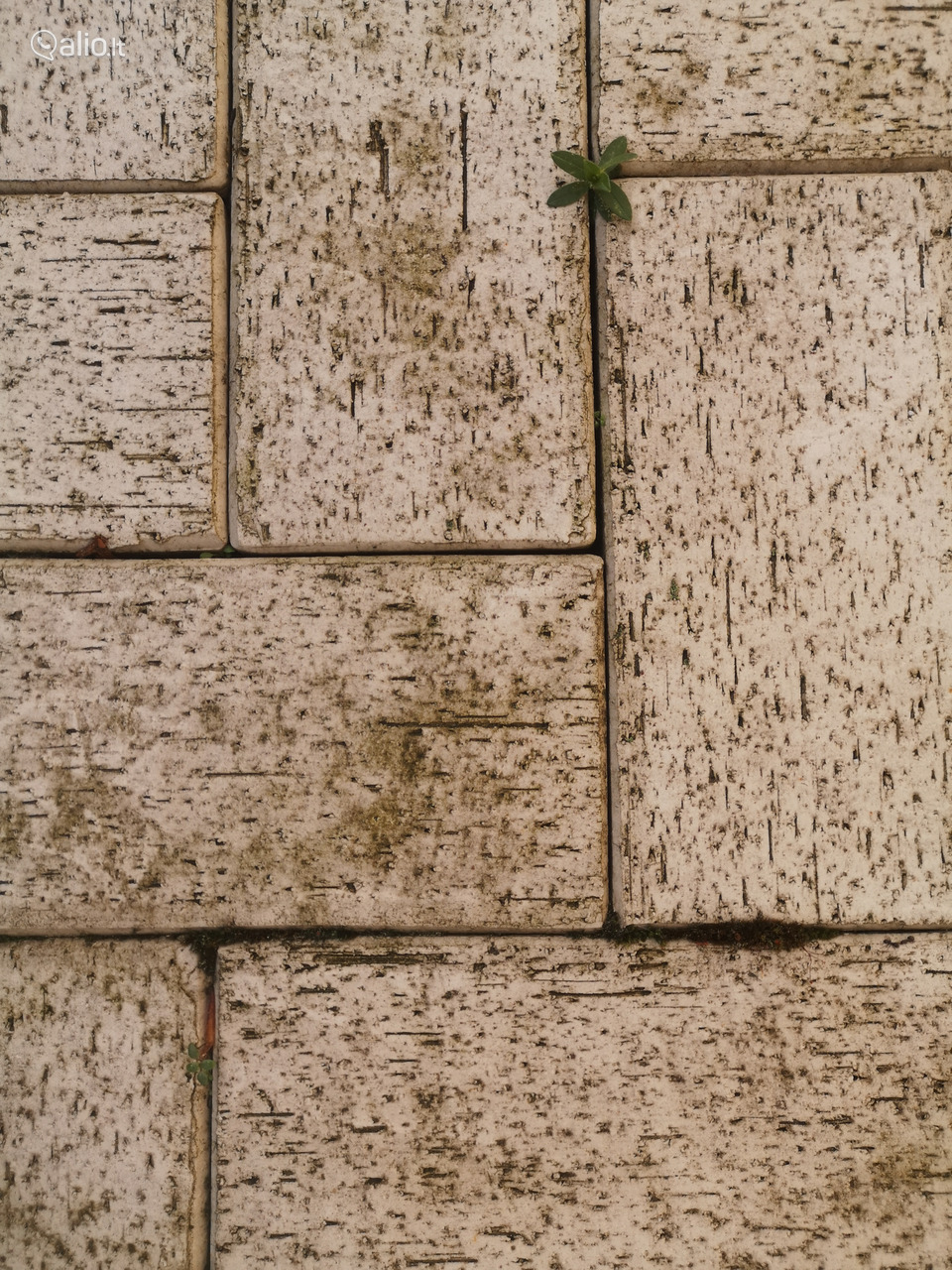 Trinkelių plovimas impregnavimas atnaujinimas valymas