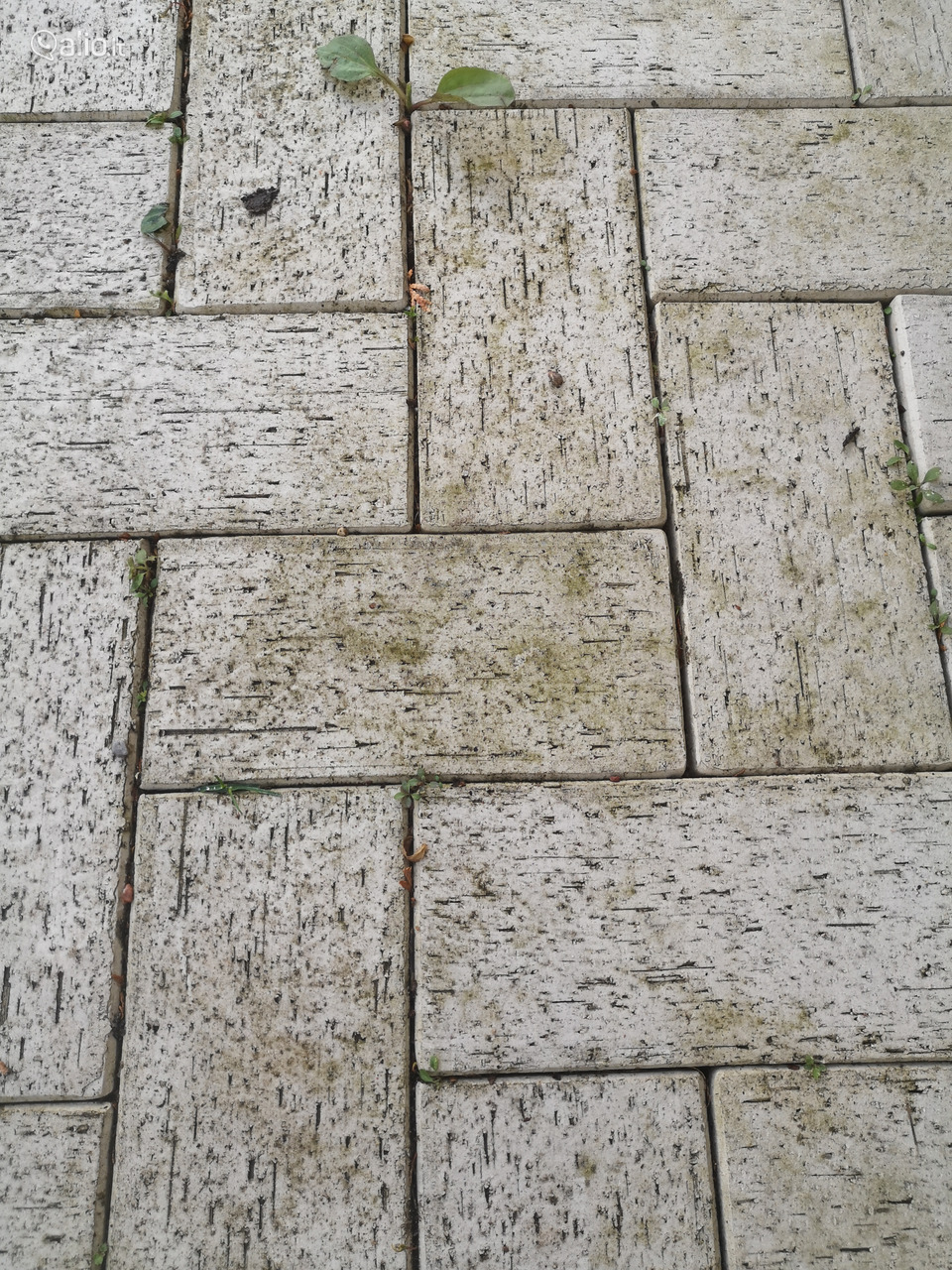 Trinkelių plovimas impregnavimas atnaujinimas valymas