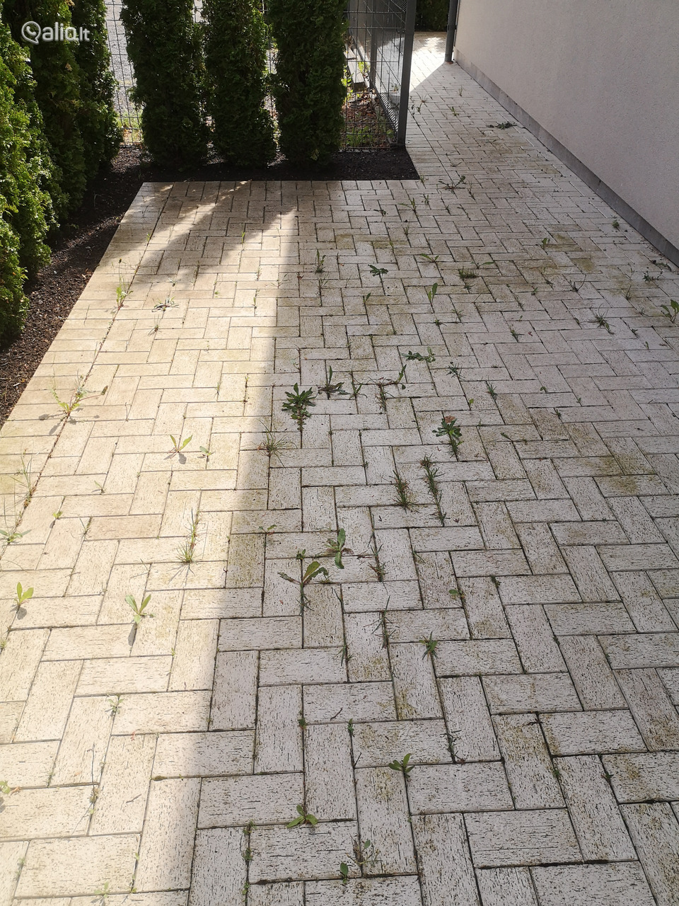 Trinkelių plovimas impregnavimas atnaujinimas valymas