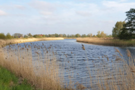 11,72 ha sklypas nuostabioje išskirtinėje vietoje ant upės kranto, šalia Kuršių marių