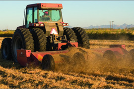 Ieškomas darbininkas augalininkystės ūkyje