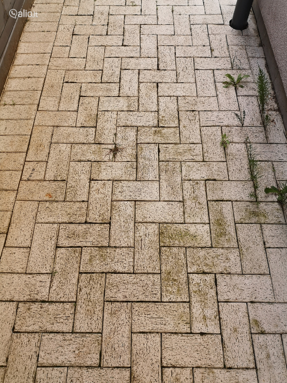 Trinkelių plovimas impregnavimas atnaujinimas