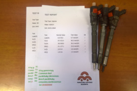 Kuro purkštukas Hyundai,Kia. 0445110064