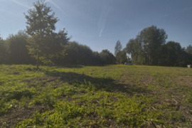 50a namų valdos+miškų ūkio paskirties sklypas Širvintų r. sav.