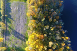 50a namų valdos+miškų ūkio paskirties sklypas Širvintų r. sav.