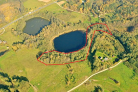 ŽEMĖS - MIŠKO SKLYPAS ANT BRUŽOKĖLIO EŽERO KRANTO DANEIKIŲ K., ZARASŲ R.