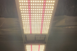 LED su Uv šiltnamiams - daržovių ir gėlių auginimu