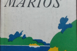 KAUNO MARIOS