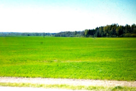 724 a sklypas Mažeikių r. sav., Naikiai, Žemaitijos g.