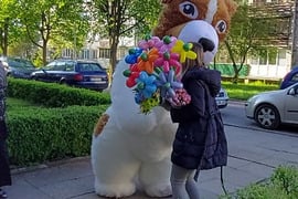 Baltos meškos pasveikinimas su gimtadienių