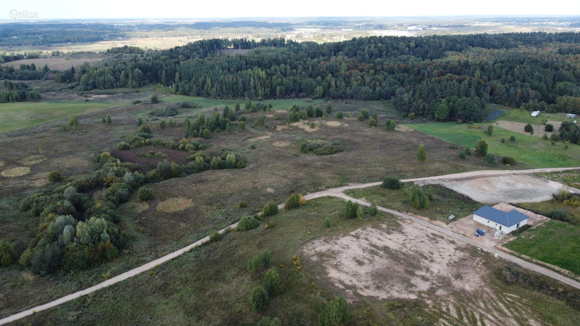 Avižienių miškas (~300m) ir apylinkes! sklypas
