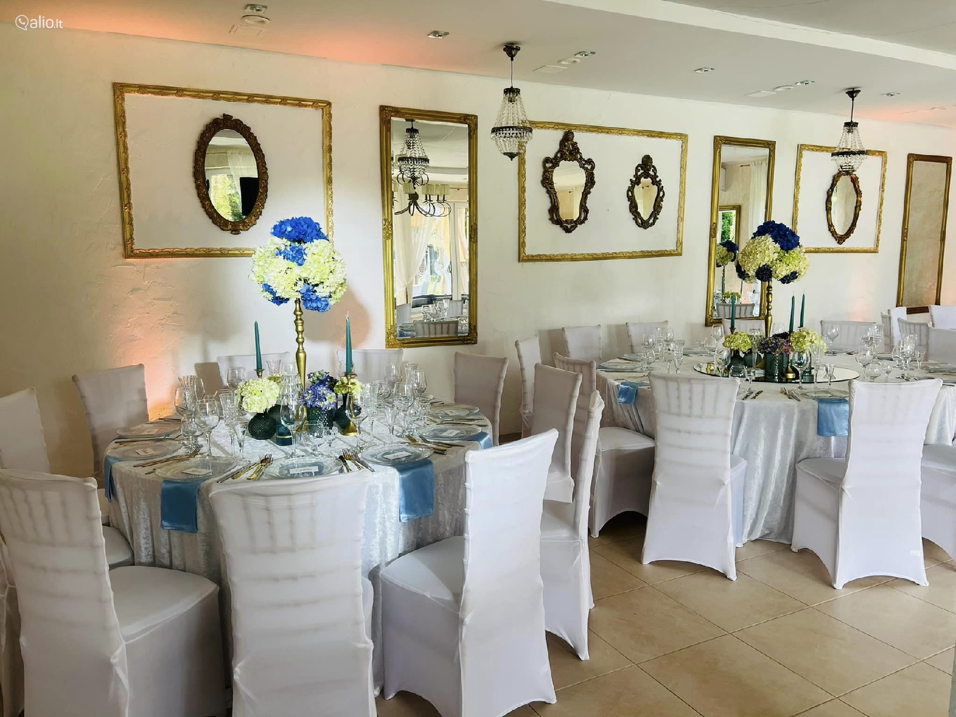 Vila Forest Resort - Unikali vieta jūsų šventei !