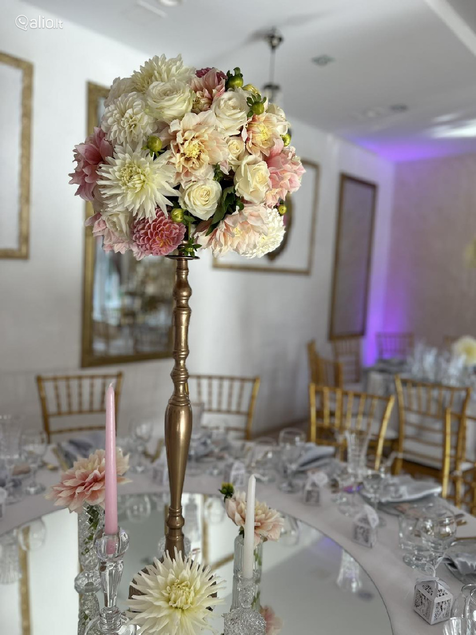 Vila Forest Resort - Unikali vieta jūsų šventei !