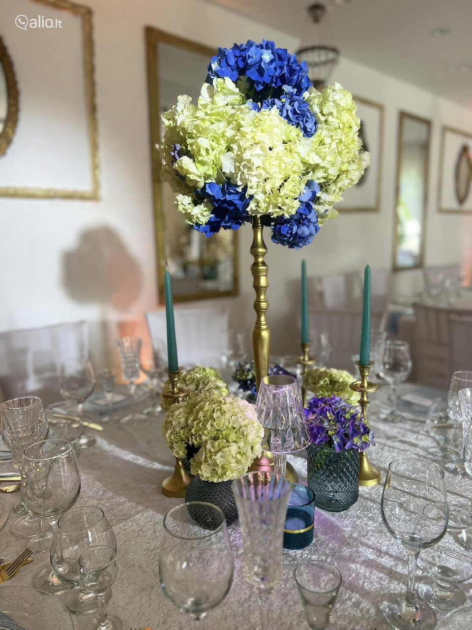 Vila Forest Resort - Unikali vieta jūsų šventei !