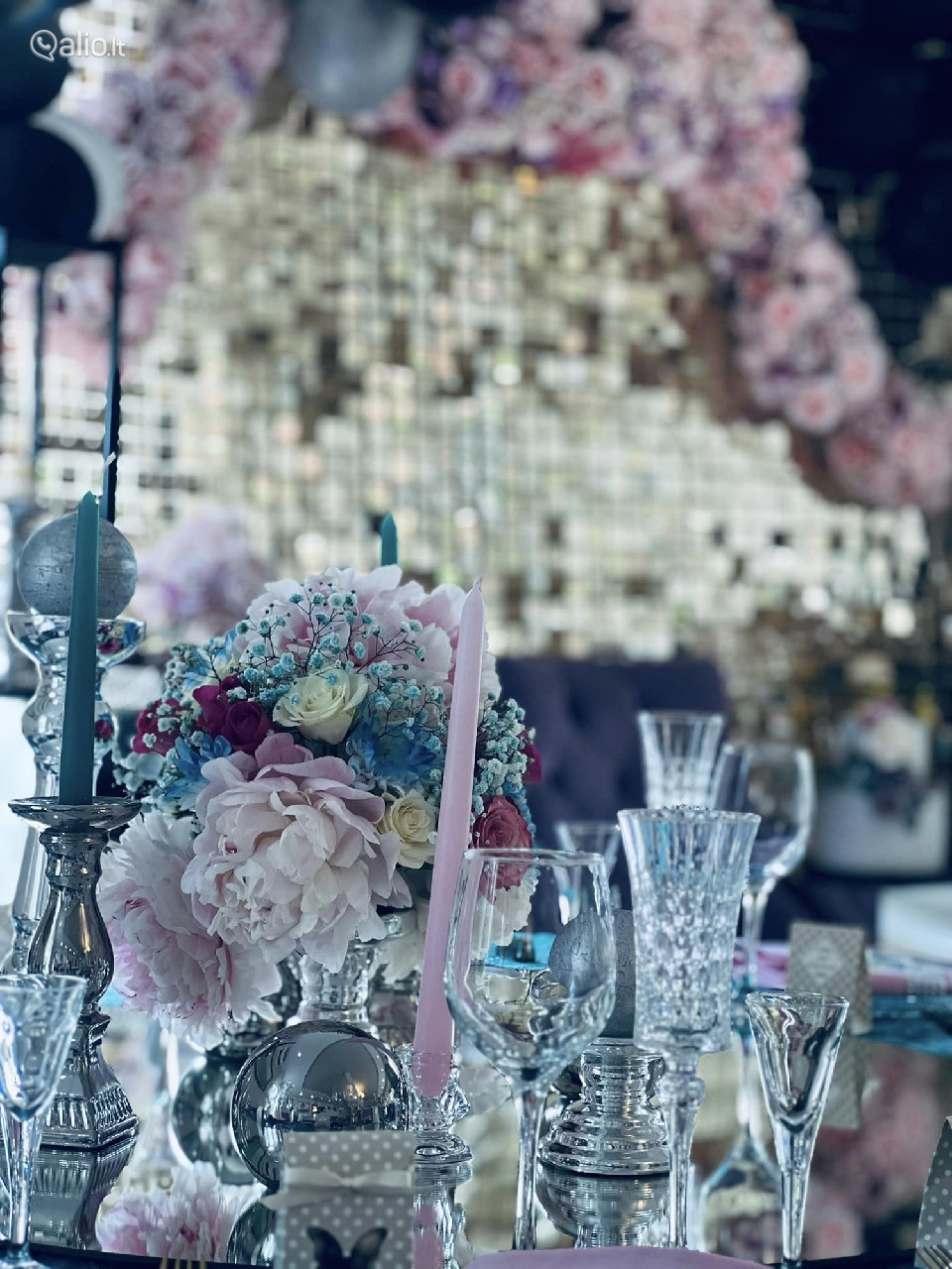 Vila Forest Resort - Unikali vieta jūsų šventei !